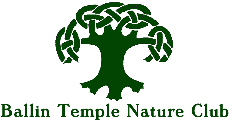 Ballin Temple Nature Club