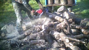 logging01